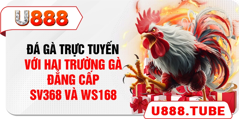 Đá gà trực tuyến tại U888